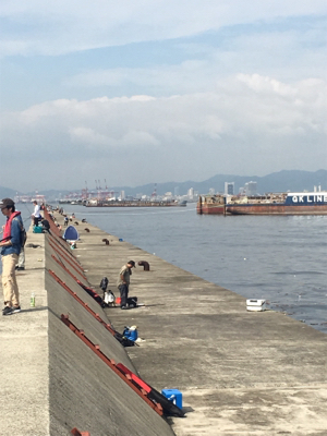 ライトショアジギング