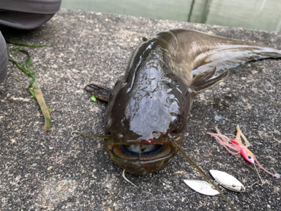 人もバスもいい季節!!