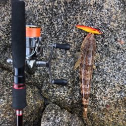 秋エギング＆ジギング