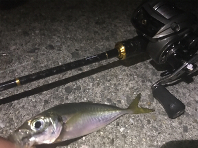 アジングアジングアジング♬