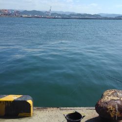 中鯵目指して!!