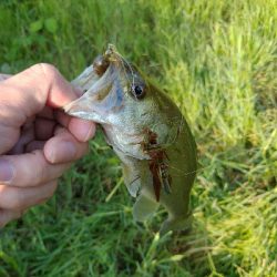 カバー周りはひたすら攻める