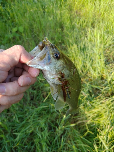 カバー周りはひたすら攻める