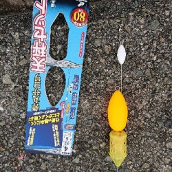 初サヨリチャレンジ