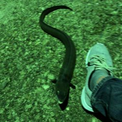 モンハンのつもりなんだが。