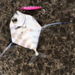 オオモンハンター