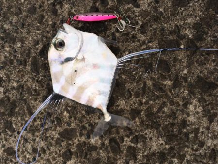 オオモンハンター