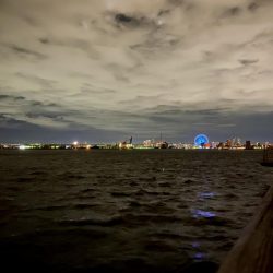 今年初のタッチー