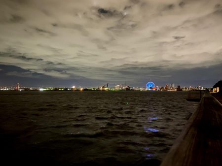 今年初のタッチー