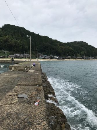 台風前のアオリイカ