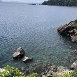 磯からエギング