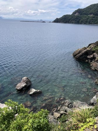 磯からエギング