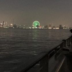 タチウオ調査3回目