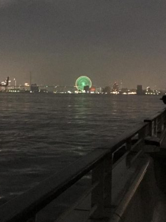 タチウオ調査3回目