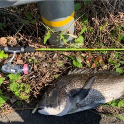 ショアジギング⇨チニング