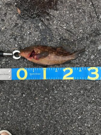 釣り人多っ‼︎