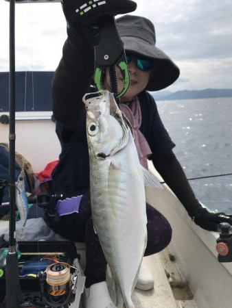 若狭湾で釣り