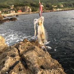 今日も仕事帰りに