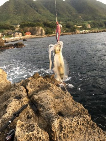 今日も仕事帰りに