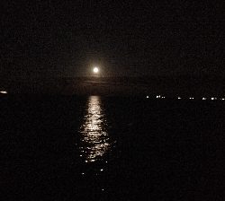 タチウオキタ━(゚∀゚)━!!!ツバスに続きサゴシも!