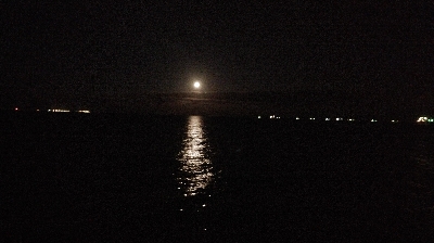 タチウオキタ━(゚∀゚)━!!!ツバスに続きサゴシも!