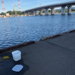 レズロスを買ったので試し投げに……