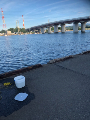 レズロスを買ったので試し投げに……