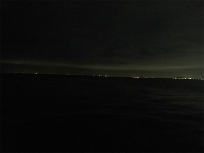 久しぶりのタチウオ