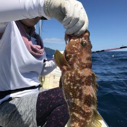 若狭湾で船釣り
