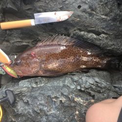 最後に大物が！