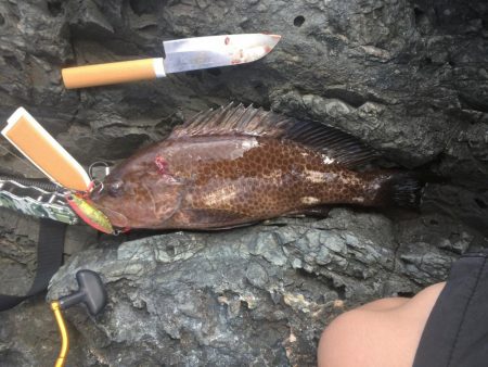 最後に大物が！