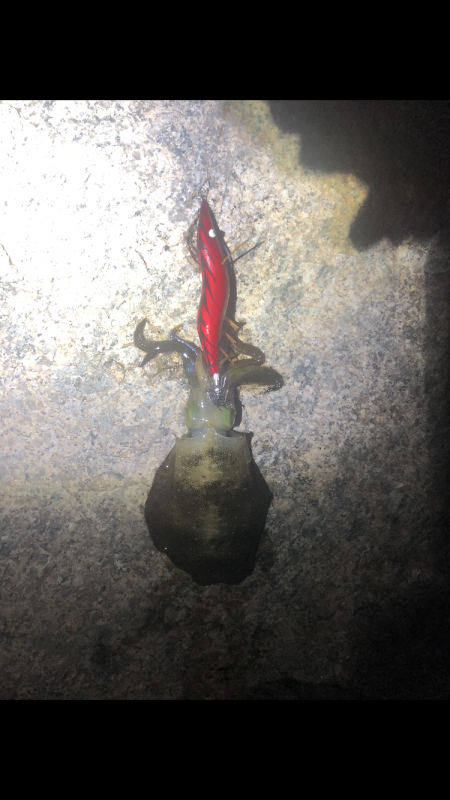 スラックジャークキャプテン