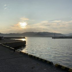 出張先エギング