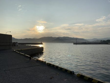 出張先エギング