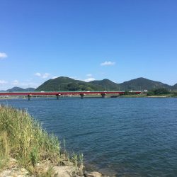 ハゼに翻弄されとります( ̄▽ ̄)