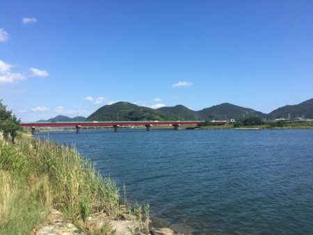 ハゼに翻弄されとります( ̄▽ ̄)