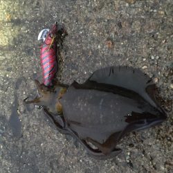 秋の醍醐味。〜醍醐味of the 秋〜