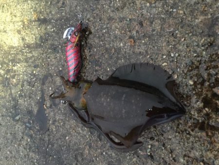 秋の醍醐味。〜醍醐味of the 秋〜