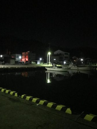 夜のお魚チェック