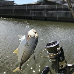 9月12日メッキゲーム