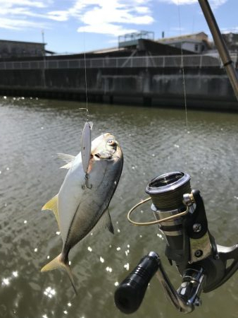 9月12日メッキゲーム