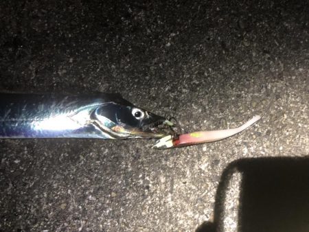 なかなかのらない