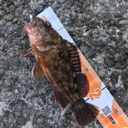 ガッシーマンション発見！