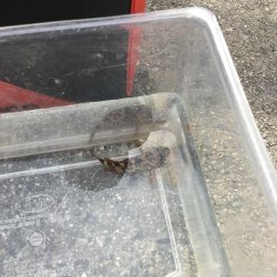 干潮の堤防釣り