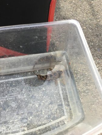 干潮の堤防釣り