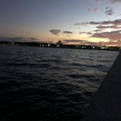 初めて行った釣り。