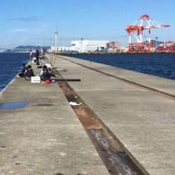 初ポーアイ沖堤‼️