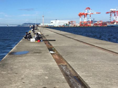 初ポーアイ沖堤‼️