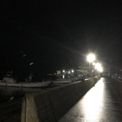 アラカブカワハギアコウアジウマズラ