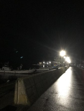 アラカブカワハギアコウアジウマズラ